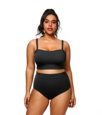 Plus Size High Waisted Bikini