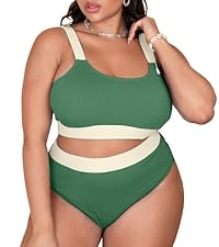 plus size high waisted bikini