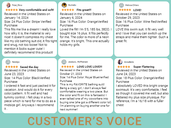 Voice of the Customer